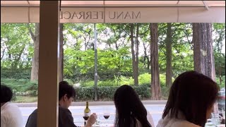 양재천에서 점심을 먹고 천천히 걸은 날 | stayoung vlog
