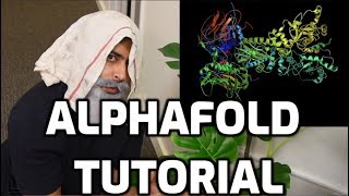 AlphaFold Tutorial screenshot 4