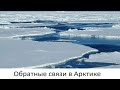 Обратные связи в Арктике