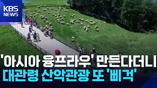 “아시아의 융프라우” 만든다더니…대관령 산악 관광 또 '삐걱' / KBS  2025.11.23.