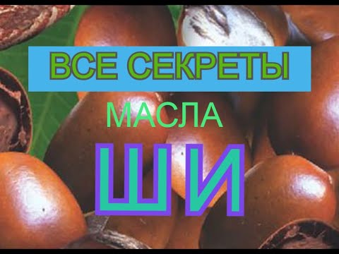 МАСЛО ШИ. Как выбрать. Как и для чего применять.