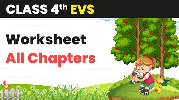 Complete Worksheet of EVS for Class 4 | All Chapters Class 4 EVS Worksheet | Class 4 EVS | 2024-25