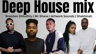 DEEP HOUSE mix (Brandon Dhludhlu, Mr Shane SA, Artwork Sounds, Shekhinah, Fatso 98, Chronical Deep)