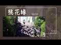 海來阿木 桃花緣 人面不知不知何處去 桃花依舊笑春風 Lyrics Video