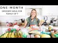 Large Family Grocery Haul for One Month
