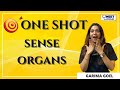 NEET Toppers: Sense Organs | One Shot | Garima Goel