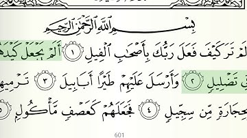 سورة الفيل الشيخ هاني الرفاعي
