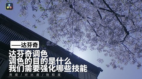 达芬奇调色 调色的目的是什么我们需要强化哪些技能