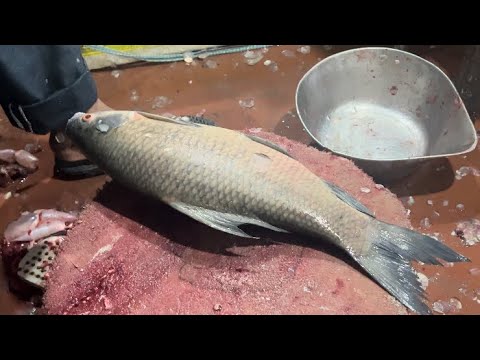Kala rohu 🐟 fish - YouTube