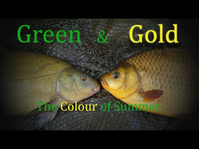 Float Fishing For Crucian Carp - The Do's and Don'ts 