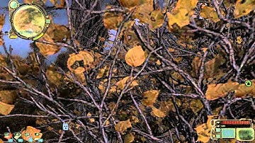 S.T.A.L.K.E.R: dat atmosphere