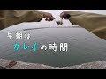 カレイにはイソメが最強ですね の動画、YouTube動画。