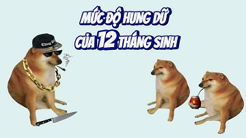 Ding Ding memes: mức độ hung dữ của 12 tháng sinh