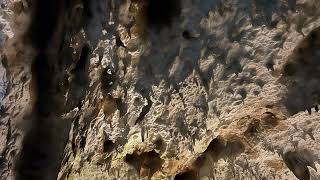 Acemaşiran Şarkı - Seni Düşünmek