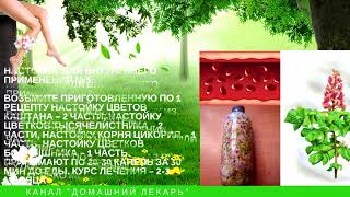Настойка из цветков каштана. 4 рецепта при варикозе и для суставов - Домашний лекарь - выпуск №50 Настойка из цветков каштана. 4 рецепта при варикозе и для суставов - Домашний лекарь - выпуск №50