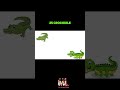 Learn Animal Names in English for Kids | English cartoon for learning English #shortsfeed