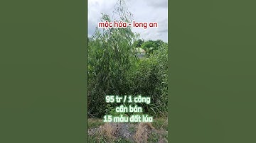 Bán 15 mẫu đất lúa giá rẻ ở mộc hóa,long an.Sđt 0979920397
