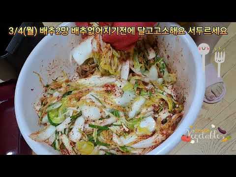 24년3/4(월) 묶은 배추 것절이 장마전에 미리다아요 맛있어요 👍 tobayo😋good 👍 ♥️ 👌 😋