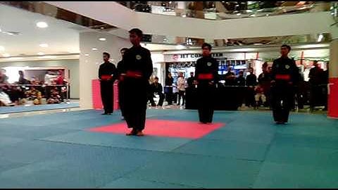 Persembahan perguruan seni silat betawi