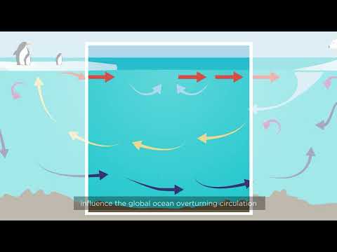 تصویری: نقش اقیانوس در سیستم اقلیمی زمین چیست؟