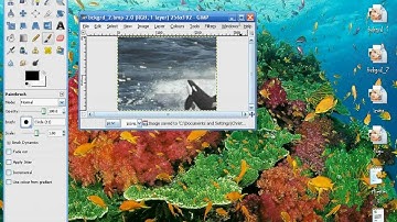 How To Change Your R4DS Theme.Part 2