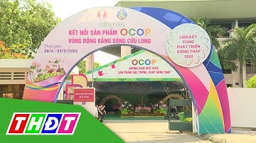 Diễn đàn Kết nối sản phẩm OCOP 2022 tại Đồng Tháp | THDT
