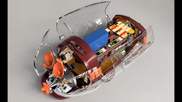 Virtual Lab Tour,  ASA Fall 2024, Animal Bioacoustics