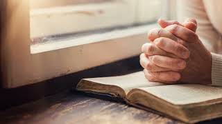 Colossians   New Living Translation NLT dramatized