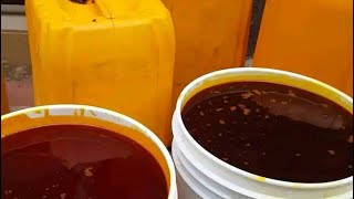 Palm Oil Trading: The Best Time To Buy Palm Oil For Storage Purpose By 2026. 