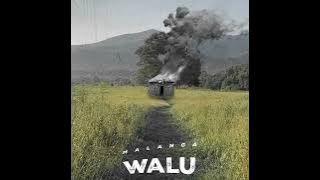 Malanga  - WALU ft elia da vincii, Moreno & Inmza