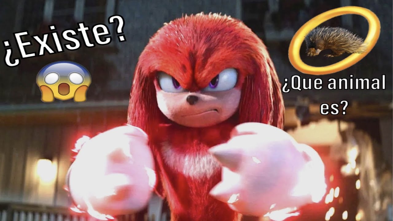 Los Equidnas entre nosotros !