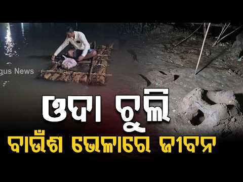 Life After Floods: Struggle For Survival In Kendrapara | Tehsildar Turns Savior | Argus News