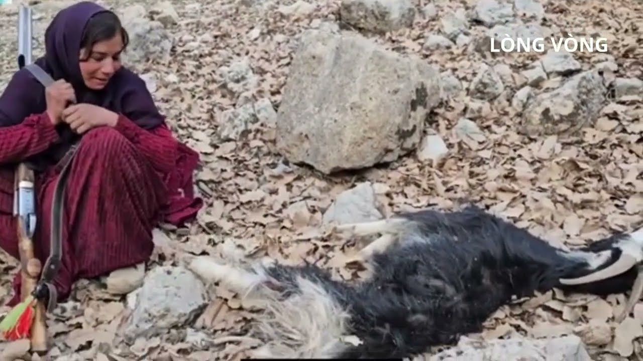 Mất Dê, Gặp Báo Rừng Và Hành Trình Tìm Mật Ong Cứu Mẹ