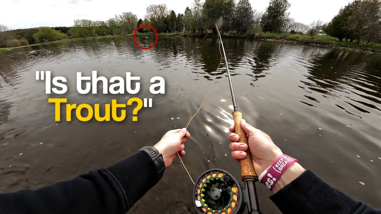 The Hunt For Brown Trout