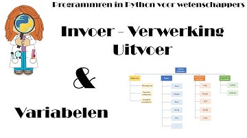 Video3 Programmeren in Python voor Wetenschappers. Variabelen & Input, verwerking, outputmodel