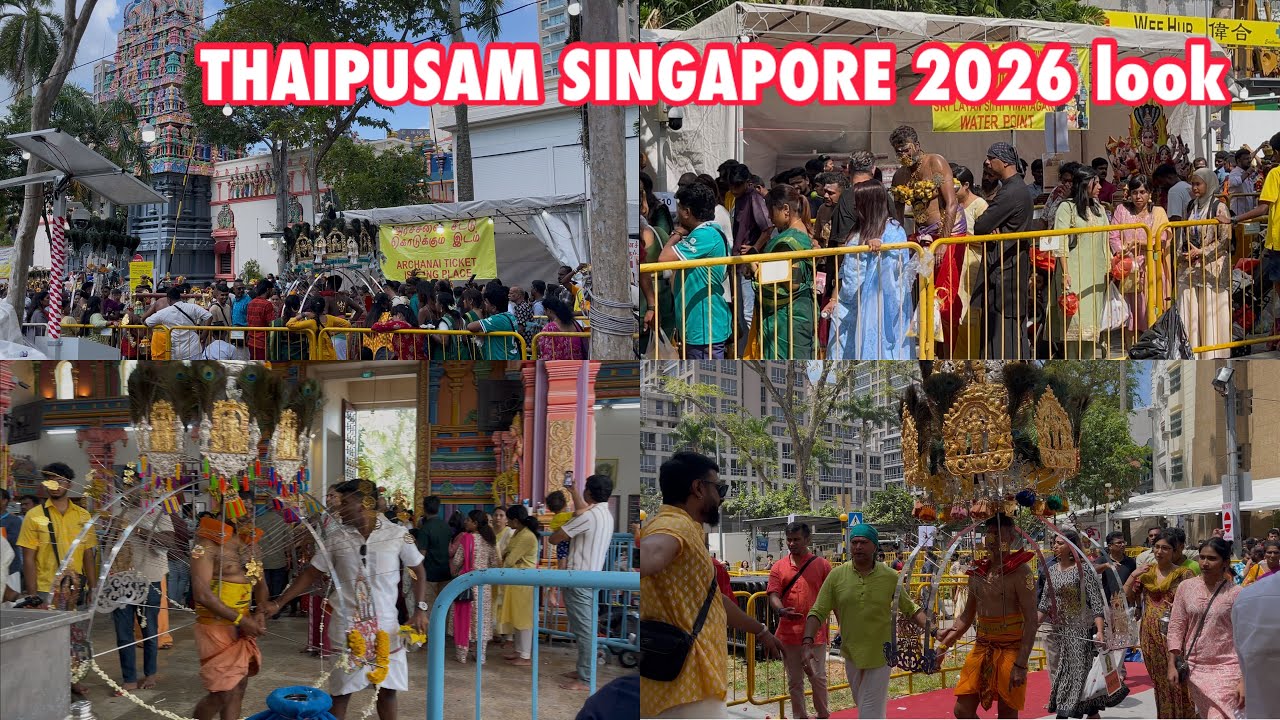 SINGAPORE THAIPUSAM 2026 LOOK (see how they remove the spears piercing on them) 4k