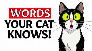 5 WORDS Your Cat Truly UNDERSTANDS (Backed by SCIENCE)