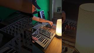 Dawless in Minsk - Jam on a newbie setup #dawless #analogsynth #electronicmusic #elektron #korg