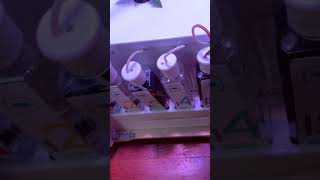 Progress Grobo Journey day 14 #bluedream