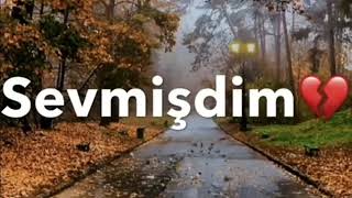 -Whatsapp Ücün Maraqlı Statuslar Sevgiyə Aid Video Sounds App  Sevgi̇ Statuslari̇ 2022