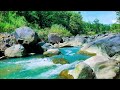 Serene River Sounds | Natural Water Ambience for Calm Mind and Deep Sleep