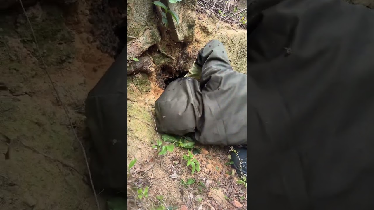 the night falls into a sinful whisper