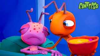 The GREAT Ant Flu | Antiks  | Action Cartoons For Kids