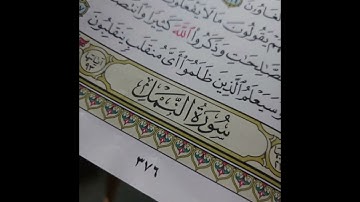 سورة النمل بصوت الشيخ أمجد العرامين @..7