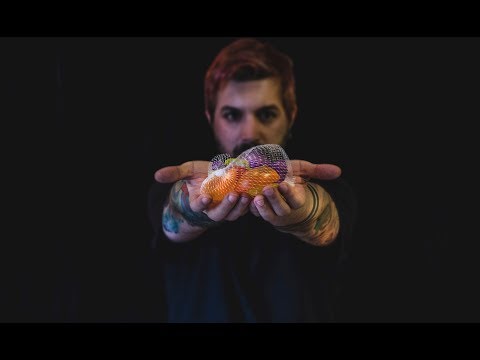 Duerme con Estos Sonidos Líquidos - ASMR | Sleepy Tingles