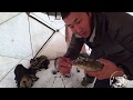 Рыбалка и обзор подводной камеры Calypso в Якутии! Yakutia