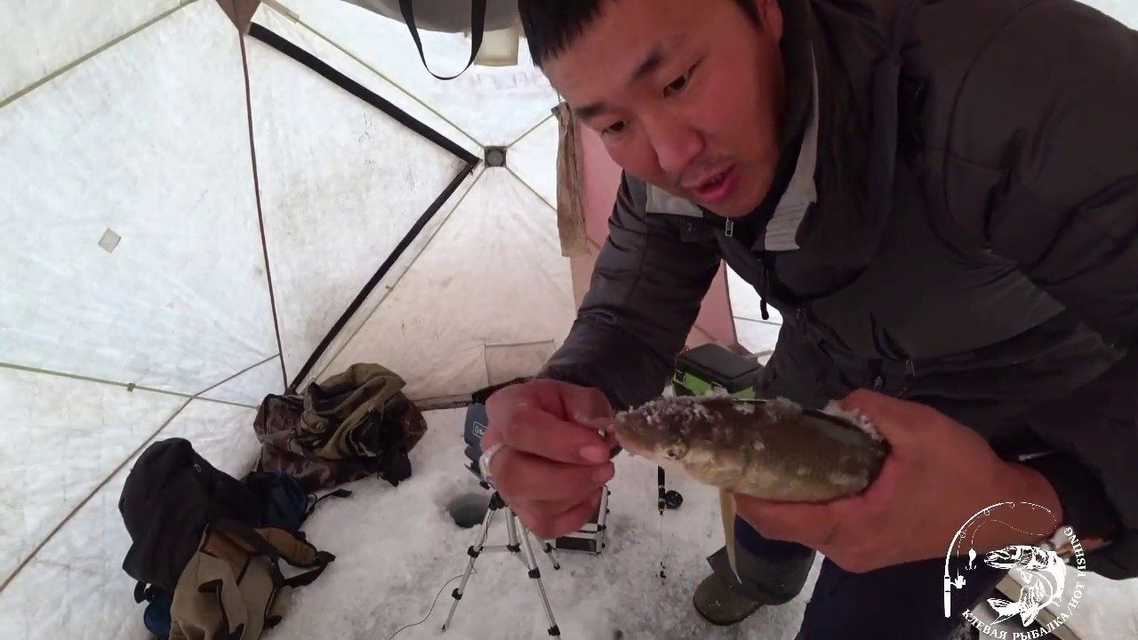 Рыбалка и обзор подводной камеры Calypso в Якутии! Yakutia