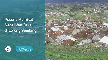 Pesona Memikat Nepal Van Java di Lereng Sumbing