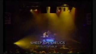 Sheep On Drugs - Motorbike