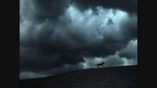 Download Lagu Eigenleben (Marko Furstenbergs Eigendub) \u0026 Sven Tasnadi  Our Destiny (Weisemanns Shuffle On Mix) MP3